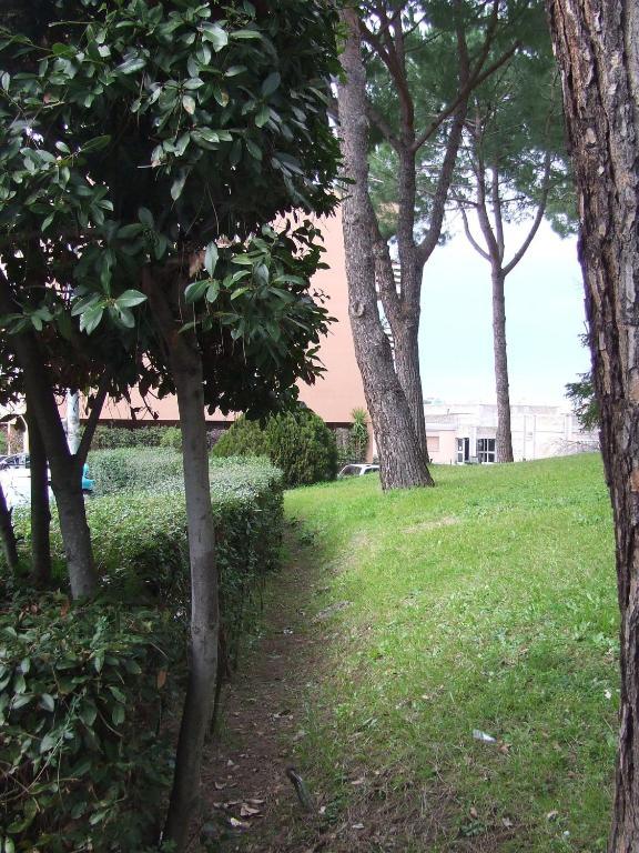 Tellene Roma